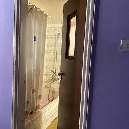 ホームステイ Past Or Tail