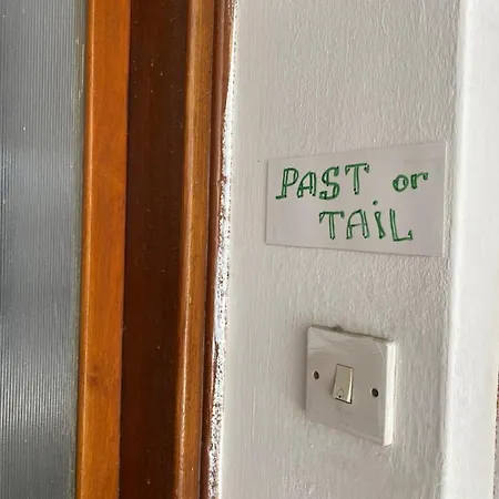 Past Or Tail Проживание в семье Ларнака
