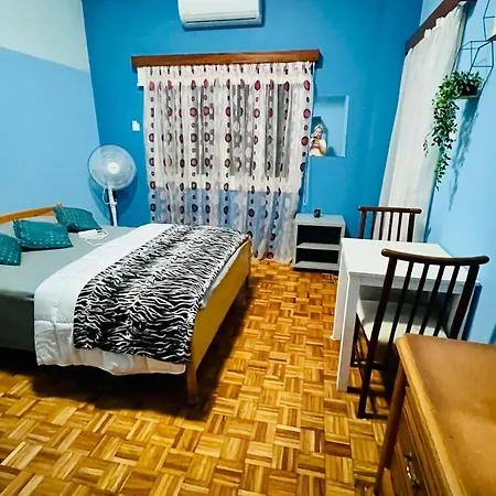 Homestay Past Or Tail